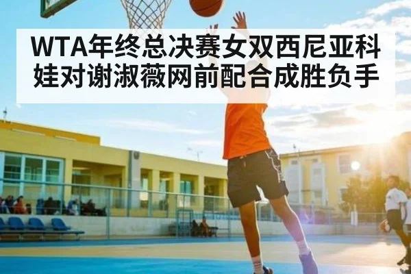 WTA年终总决赛女双西尼亚科娃对谢淑薇网前配合成胜负手